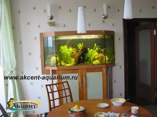 Акцент-Аквариум, аквариум просмотровый 400 литров вид со стороны столовой